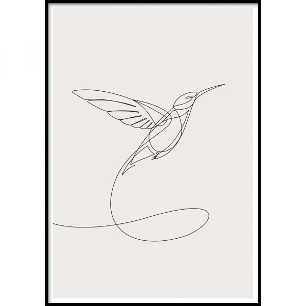 Nástenný plagát v ráme SKETCHLINE/HUMMINGBIRD, 50 x 70 cm