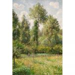 Reprodukcia obrazu Camille Pissarro – Poplars Éragny, 60 × 80 cm