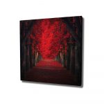 Nástenný obraz na plátne Red Trees, 45 × 45 cm