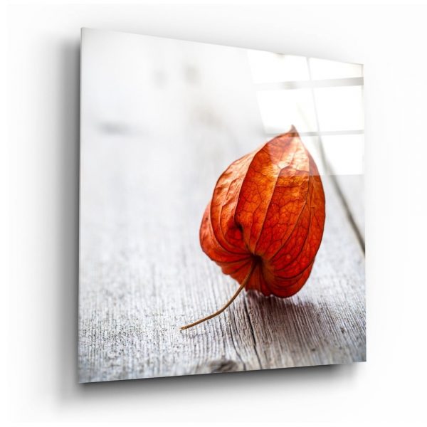 Sklenený obraz Insigne Dry Leaf, 40 x 40 cm